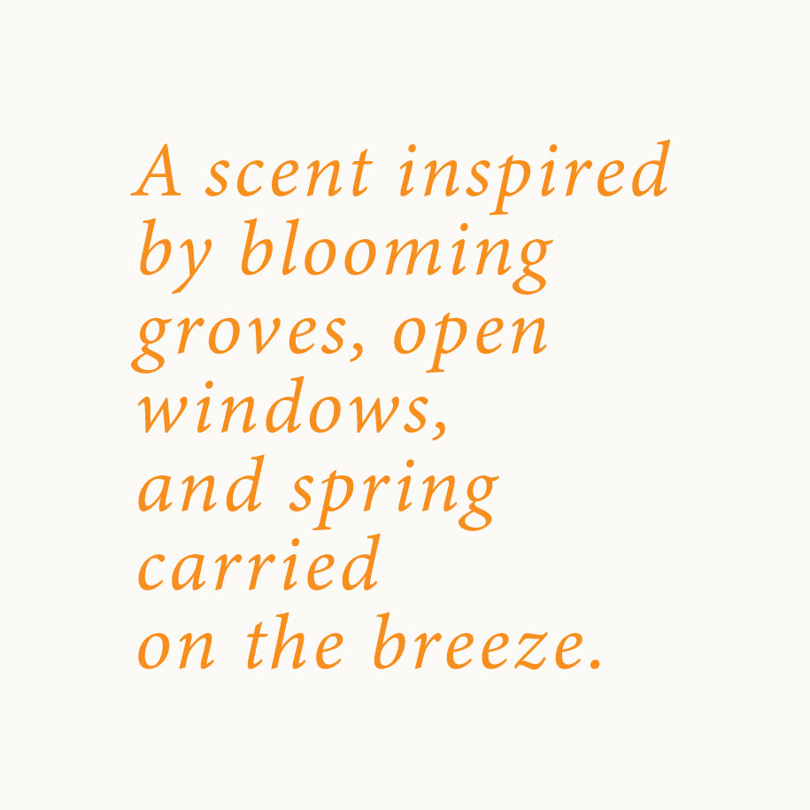 Orange Blossom Candle | Orange Blossom + Vanilla