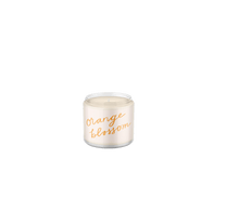 Load image into Gallery viewer, Orange Blossom Soy Wax Candle
