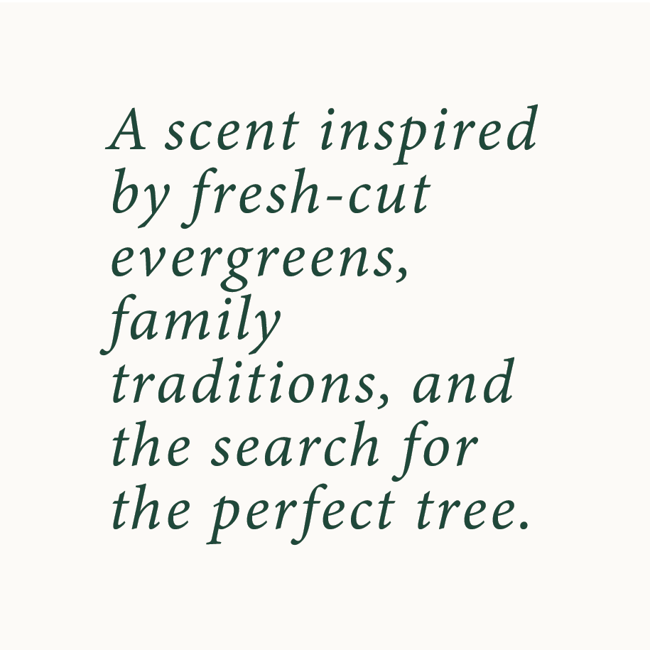 Tree Farm Candle | Pine + Amber