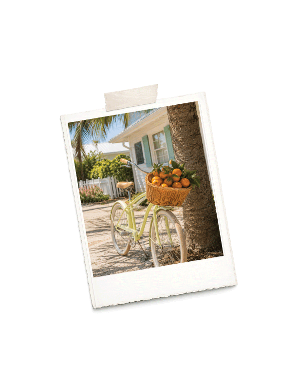 Polaroid of a bicycle with a basket of oranges outside a seaside cottage